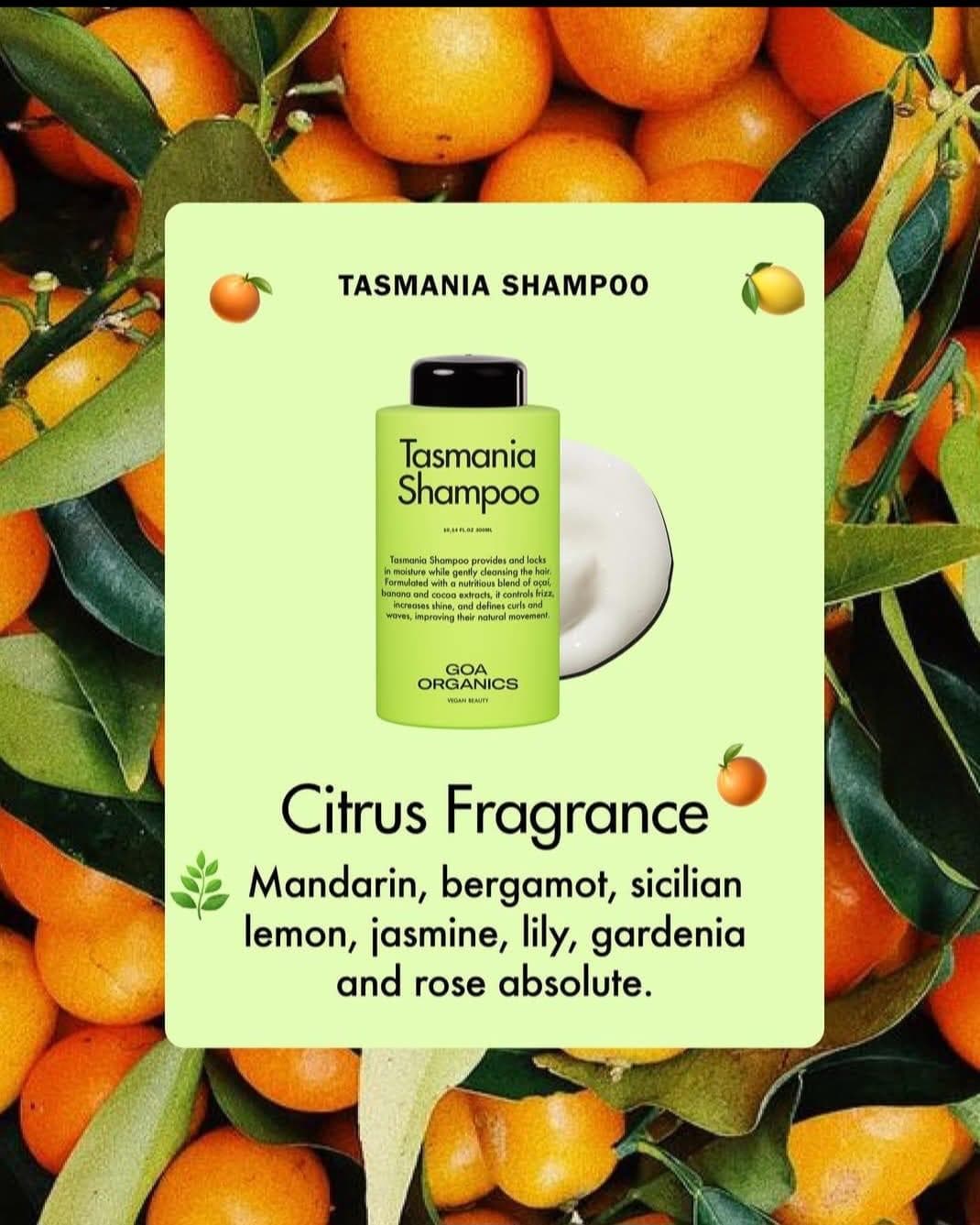 Citrus Fragrance